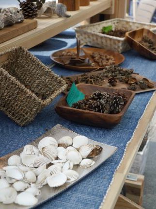 木の実、貝がら