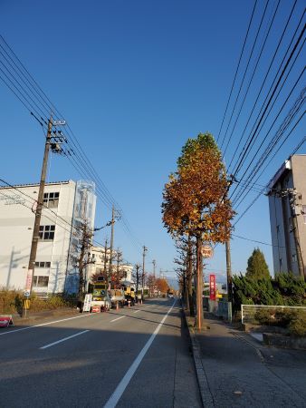 富山大沢野線