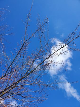 睦月の空