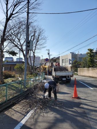 公園剪定片付け