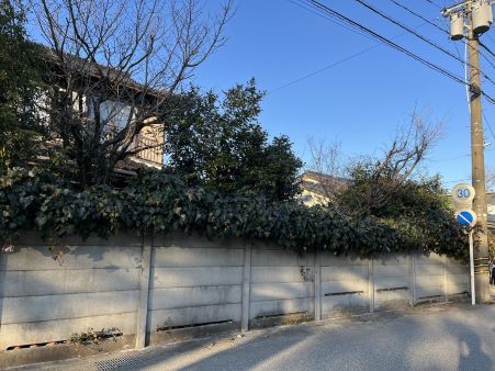 伐採後