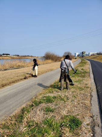 草刈り機で芝刈り