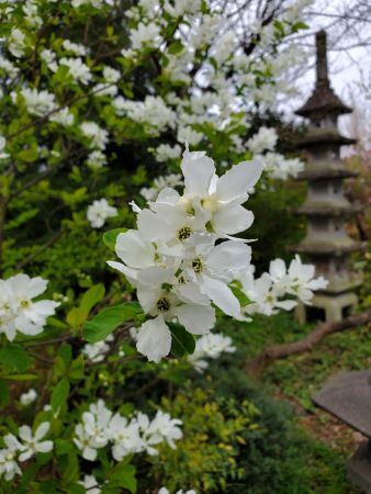 R5リキュウバイ