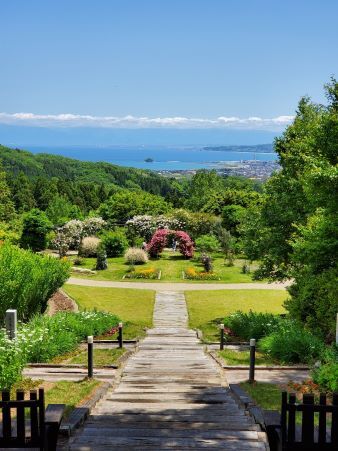 ビューポイント